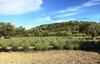 Lodge Iuta Glamping & Farm