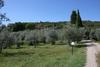 Santa Barbara-miniera Villa Sleeps 12 Pool Wifi