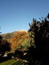 Hostal Haus Castellan