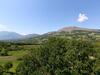 Villa With Tower Between Olive Trees With Private Swimming Pool, Nice View