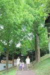Lodge Matsue Forest Park
