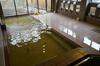 Shugyoku No Yu Yakushido Onsen