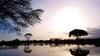 Voyager Ziwani Tented Camp