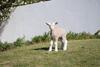 Agroturismo Monte Das Texugueiras