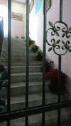 Apartamentos Bolonja