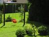 Apartments Bojana