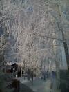Agroturismo Aleksandrina Country House