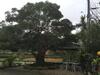 Yu Ho Yuan Lesiure Homestay
