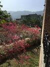 Yu Ho Yuan Lesiure Homestay