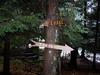 Hotel Alpine Lake Resort