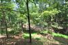 A Zen Mountain Retreat