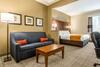 Hotel Comfort Suites At The University