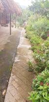 Family Homestay