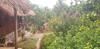 Family Homestay