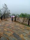 Bed & Breakfast Discover Y Ty Homestay