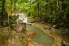 Hotel Termales Del Bosque