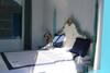 Hai Dao Hua Lu Homestay