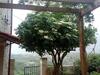 Apartamento Agioklima Traditional Cretan House