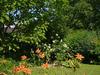 Hotel Silvia Krafts Bed And Breakfast