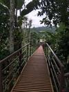 Agroturismo Harmony Farm Wayanad
