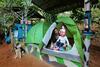 Hotel Evergreen County Coorg
