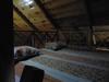Lodge Pangot Retreat