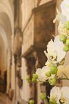 Suites & Apartments Liola'