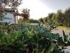 Apartamento Agriturismo Macchia Di Riso