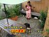 Hostal Amami Guest House Showa-so