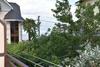 Hostal Guest House Mamma Olga