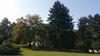 Bed & Breakfast The Pines Of Dresden