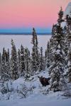 Lake Louise Lodge, Alaska
