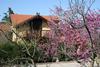 Lodge Suzanna In Odem