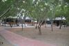Hotel Gulmohar Sariska Resort