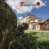Agroturismo La Faggiola Agriturismo