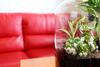Eurohotel Sosnowiec