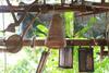 Siam Lanna Homestay