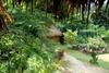 Ban Hieu Garden Lodge