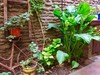 Bed & Breakfast Lina�s Tango Guesthouse