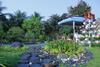 Hotel Forever Green Resort