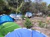 Evergreen Tent Stay & Trekking