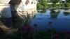 Hotel H�tel De France