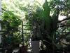 Bed & Breakfast Sacred City Tourist Resort