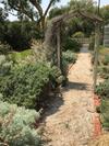 Villa Kit Kat Cottage - Heritage Accommodation Burra