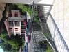 Linden Tree Apartment