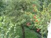 Bed & Breakfast Chez Olivia Et Pascal