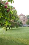 Hotel Gutshaus Stolpe