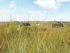 Two-bedroom Holiday Home In Ringk�bing 24