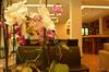 Alexakis Hotel & Spa