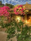 Posada Fagapa Lodge